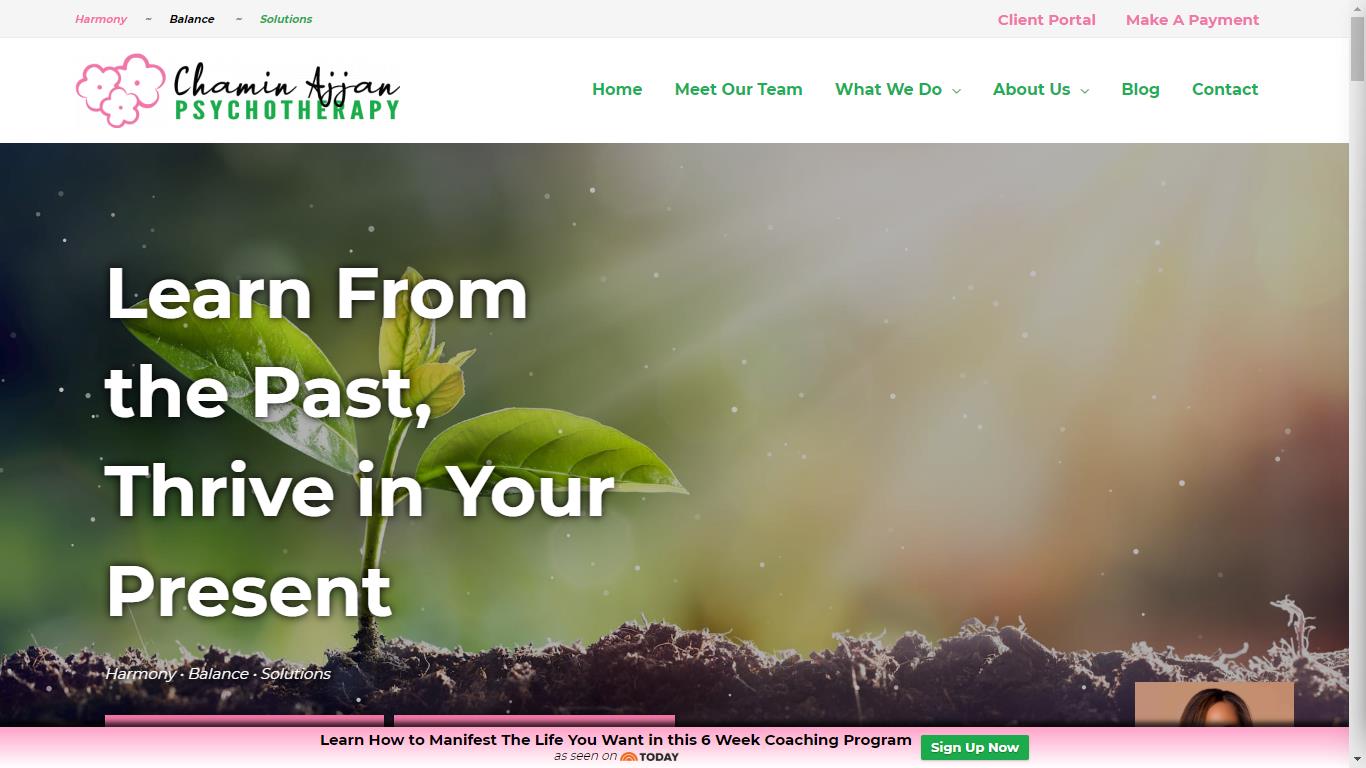 Chamin Ajjan Psychotherapy